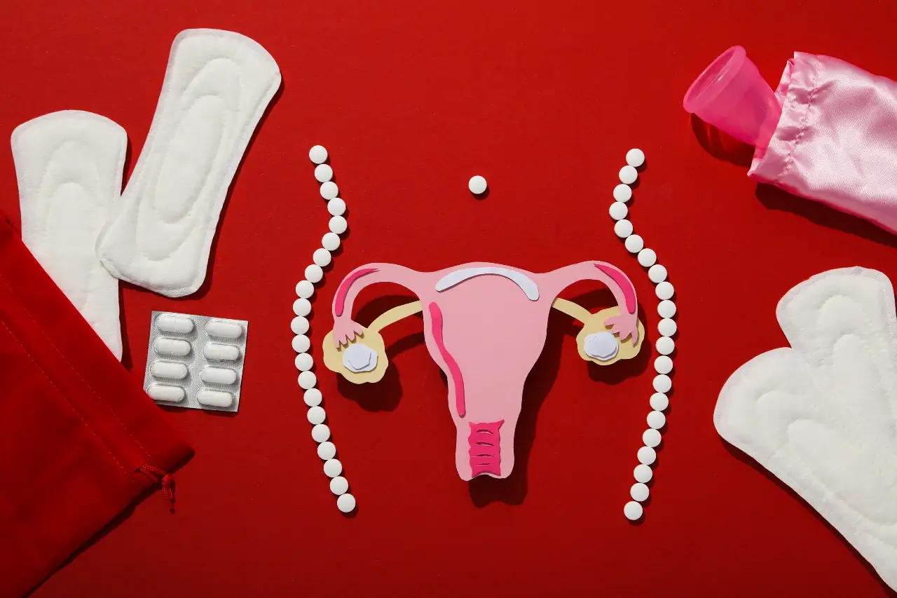 diagram of uterus with 4 menstrual cycle phases